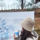 스테이, 흥업 이미지