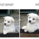 하나스포츠센터 이미지