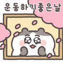 에스피트니스존 이미지