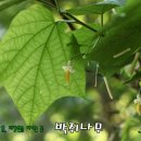 꽃미장원 이미지
