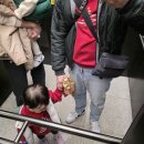 여의명품세탁 | 크리스마스 패밀리룩 맨투맨 | 쌍둥이 아빠의 몽피마피 찐 솔직 리뷰 (feat. 장단점 총정리)