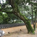 병풍사입구 이미지