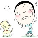 여름 감기 이미지