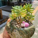 연지곤지공방