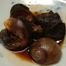 연체동물 - 복족綱 - 총알고둥目 - 구슬우렁이科 - 큰구슬우렁이 이미지