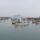 남해미조로즈렌트하우스 이미지