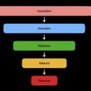 페르소나 피티샵 | [제로베이스] 콘텐츠 마케팅 스쿨 3일차 스터디 노트