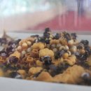 정석 합기도 이미지