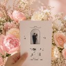 비즈하우스 청첩장 후기｜종이청첩장 제작부터 주문까지 만족했던 결혼준비 내돈내산