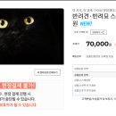 다루동물병원 이미지