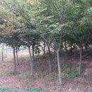 변산농장 이미지