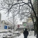 더 나눔 행정사사무소 이미지