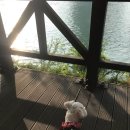 옳치 올치 이미지