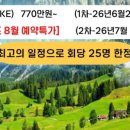 (주)브이아이피여행사