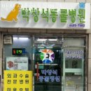박창석종합동물병원 | 마포구 도화동 동물병원 박창석종합동물병원 진료시간 접근성 이용후기