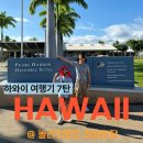 희재농장 | 하와이 7탄 : 와이켈레 아울렛, 진주만, 코스트코