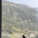 [정선 파크로쉬 리조트앤웰니스] 숙소, 조식, 주차, 부대시설 정보 총 정리 !