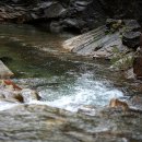 성심할인마트 이미지