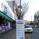 참치다컴 이미지