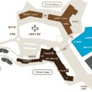 소노캄 델피노C 이미지