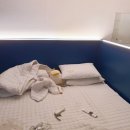 산중모텔펜션 이미지