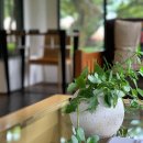 씨에스 호텔 앤 리조트 이미지