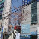 두더지식당 이미지