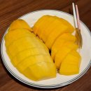 고용기 | [싱가포르] 드디어 우리집에도 헬퍼가!