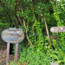 보광사 석조석가여래좌상과 짓샘 이미지