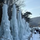 영농조합법인청원사과마을 | 청양 알프스마을 얼음 분수 축제ㅣ1월1일 방문ㅣ솔직히 말하면 충격ㅣ내돈내산 별로 후기(+입장권 정보)