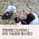 백미길 | 4세 아이 화성 백미리어촌체험마을 갯벌체험 후기｜유아 가슴장화 필수였던 이유