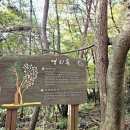 연암공업대학 | 진주 가좌산대나무숲길 겨울에도 푸르른 둘레길