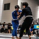 B9주짓수 네이버블로그