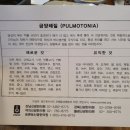 금양목욕탕 | 8체질 오진 판단받고 행복찾은 후기(금양→목음 바뀜)