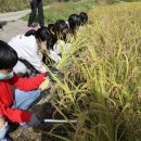 세중초등학교 이미지