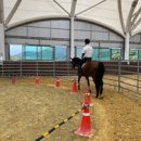 영광승마장 이미지