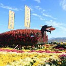 경상남도도교육청 이미지