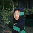 마르코농장 이미지