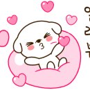 내리사랑태권도장 이미지