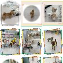 더 예쁘개 이미지