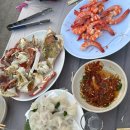 내리 어촌계 공중화장실 | [태안맛집/태안야경맛집] 태안 학암포 어촌계 수산물판매장 ‘해광수산’내돈내산후기