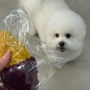 밤앤송