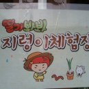 들꽃어린이집 이미지