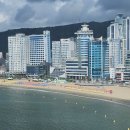 BB하우스 이미지