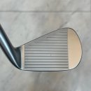 원광대학교치과병원 | 논산 골프샵 테일러메이드 P7MC 좌타 아이언 구매 후기