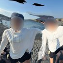팜스안경 | ULSAN 🐳🐋💗🏊‍♀️👙🤿
