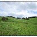 태균목장 이미지