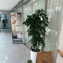 37도스파 | 전신순환 온열관리순환다이어트 누워서 살빼는 다이어트 <37도 스파 하남점>