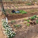 명예농장 이미지