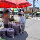 남지정기시장 이미지